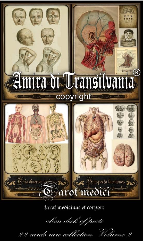 Old anatomy, medicine and surgery vintage 